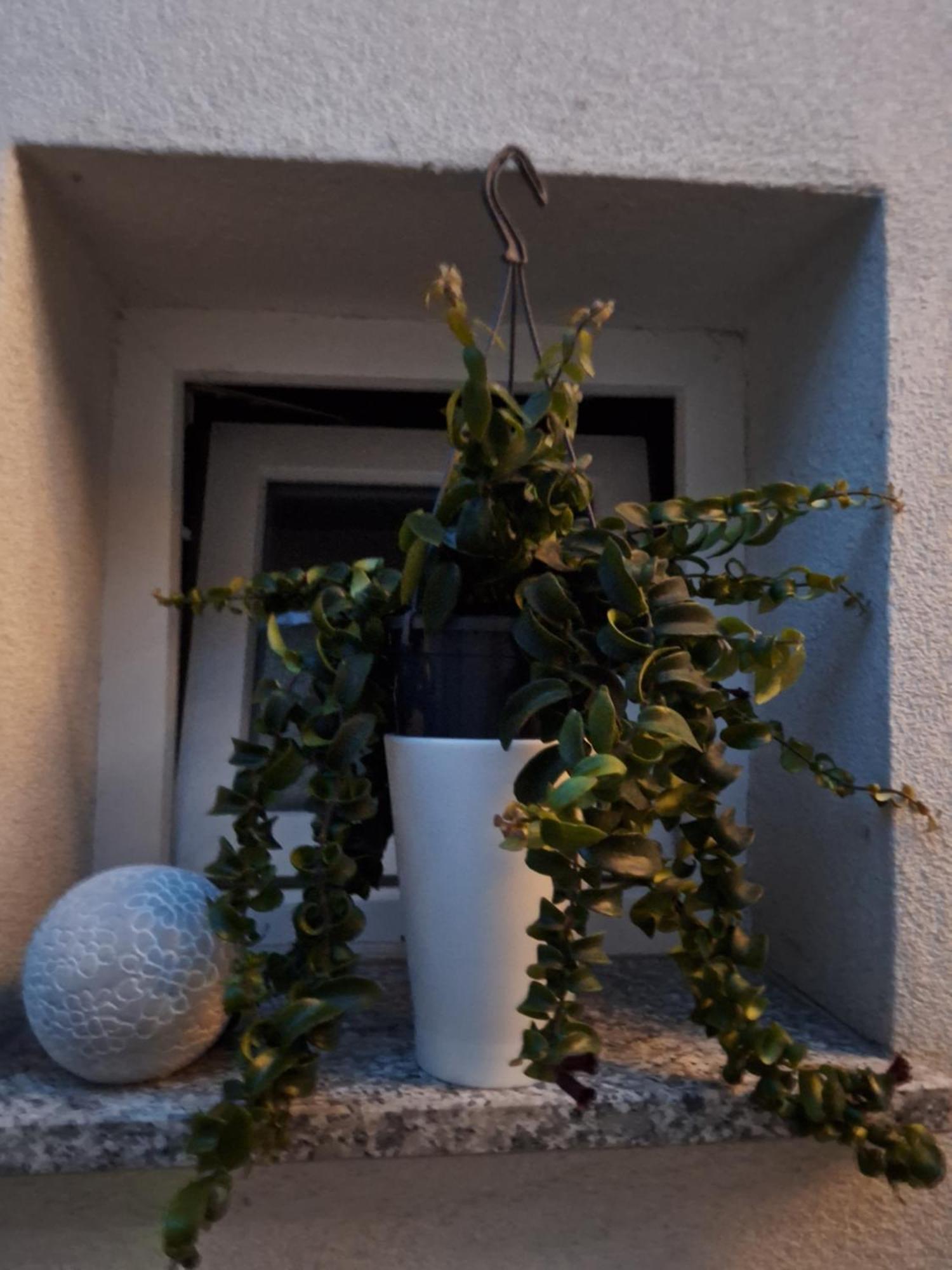 Studio Apartmani Louis I Lola Zagabria Esterno foto